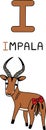 A capital letter of ÃÂ I impala animal antelopeÃÂ found inÃÂ easternÃÂ andÃÂ southern Africa; Features is glossy, reddish brownÃÂ coat